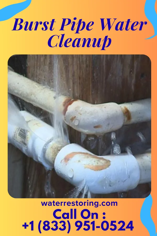 Burst Pipe Water Cleanup in Greenfield, CA