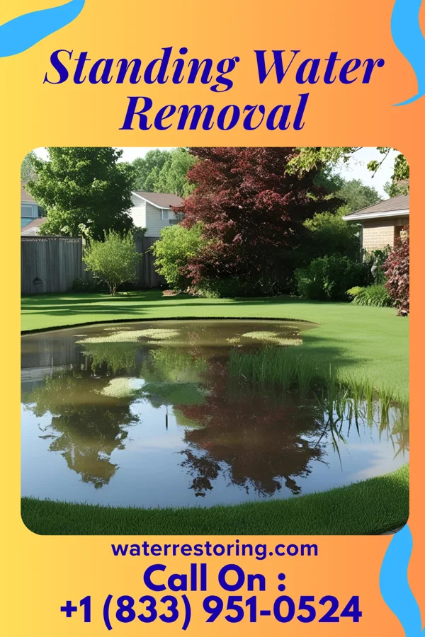Standing Water Removal in Greenfield, CA